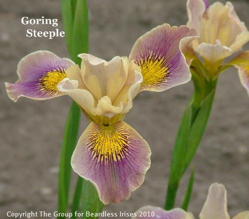 Goring Steeple